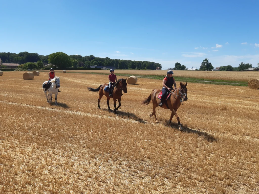 Écuries du Mesnil David - photo balade