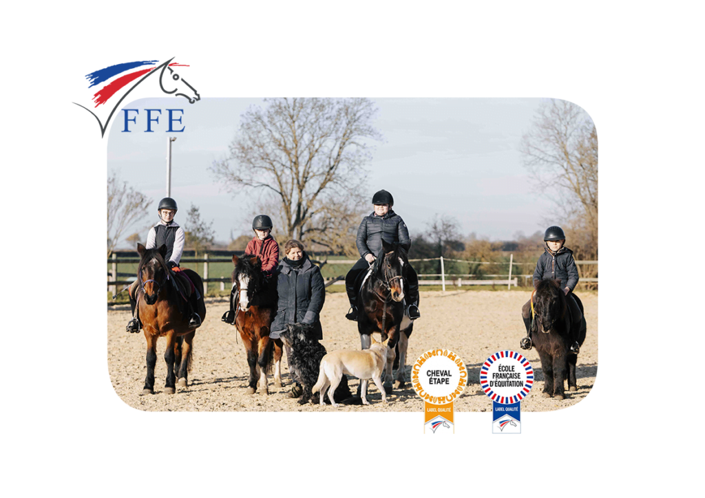 Écuries du Mesnil David - photo