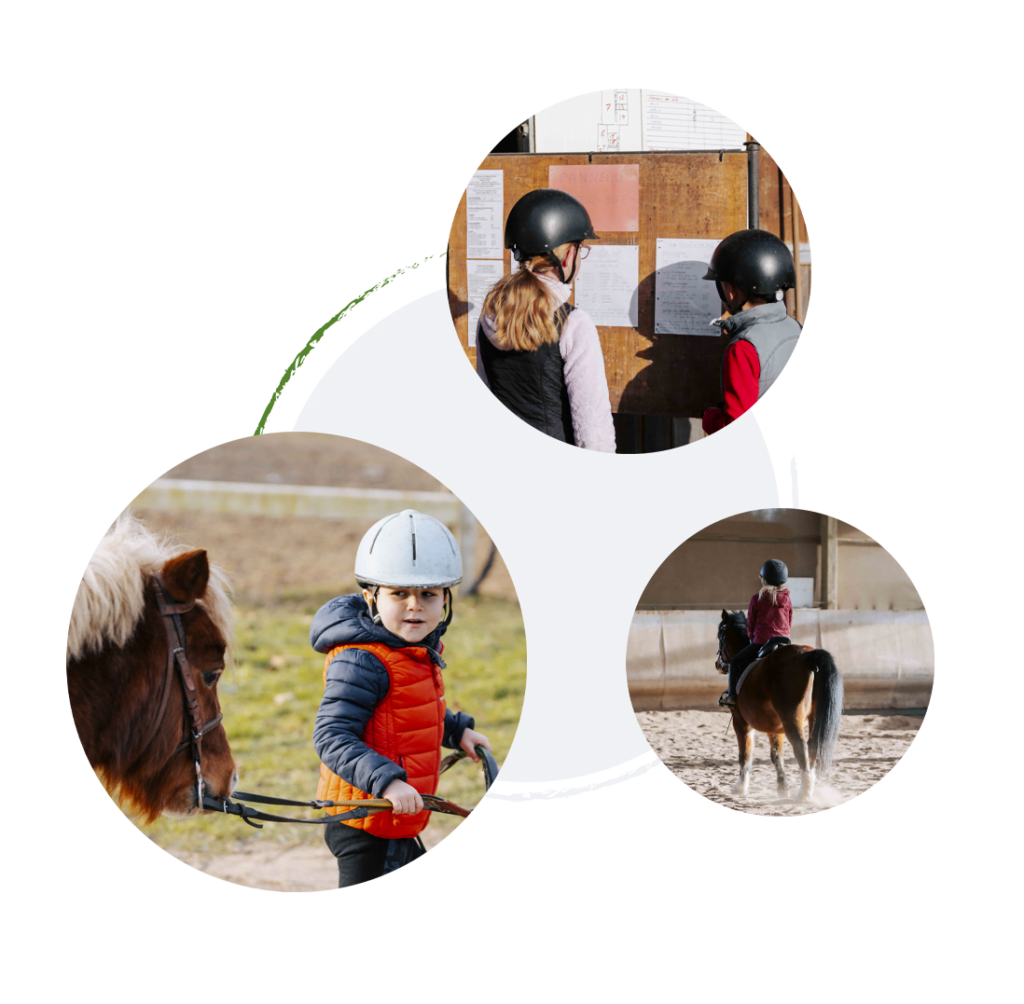 Écuries du Mesnil David - photo