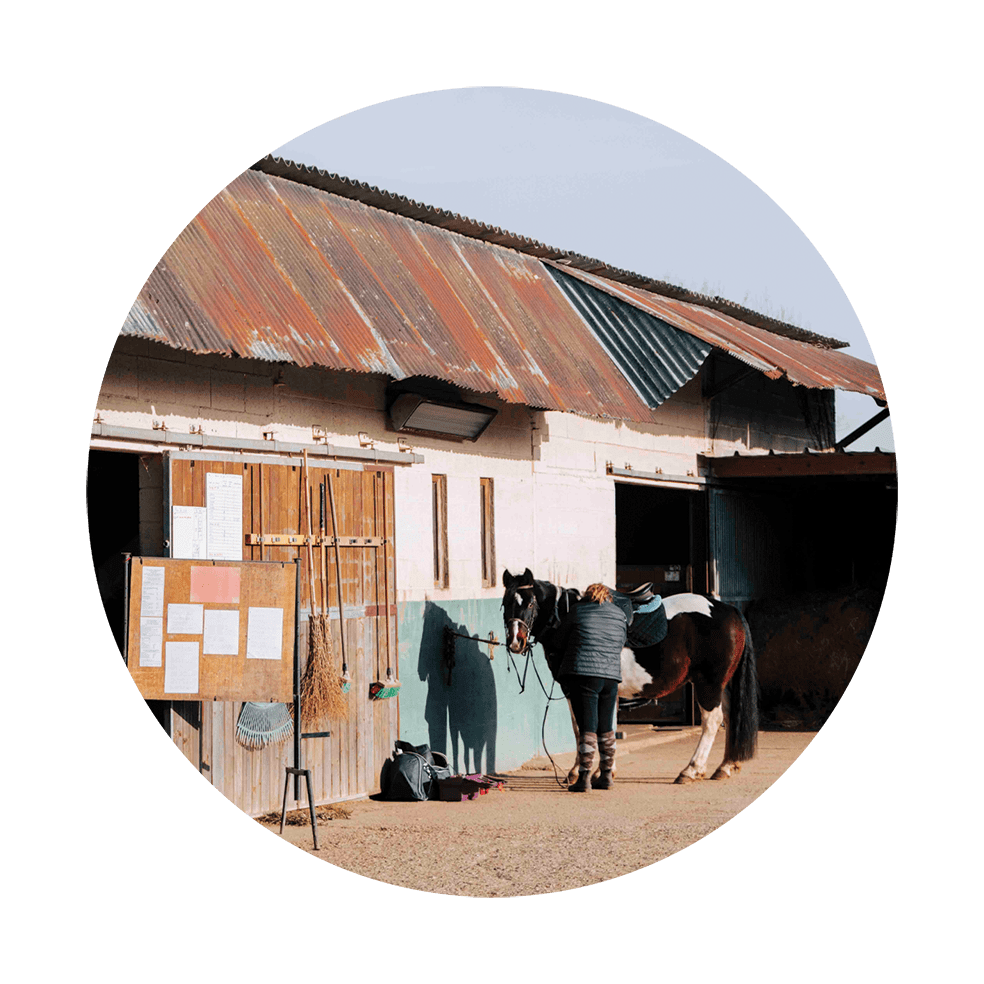 Écuries du Mesnil David - photo