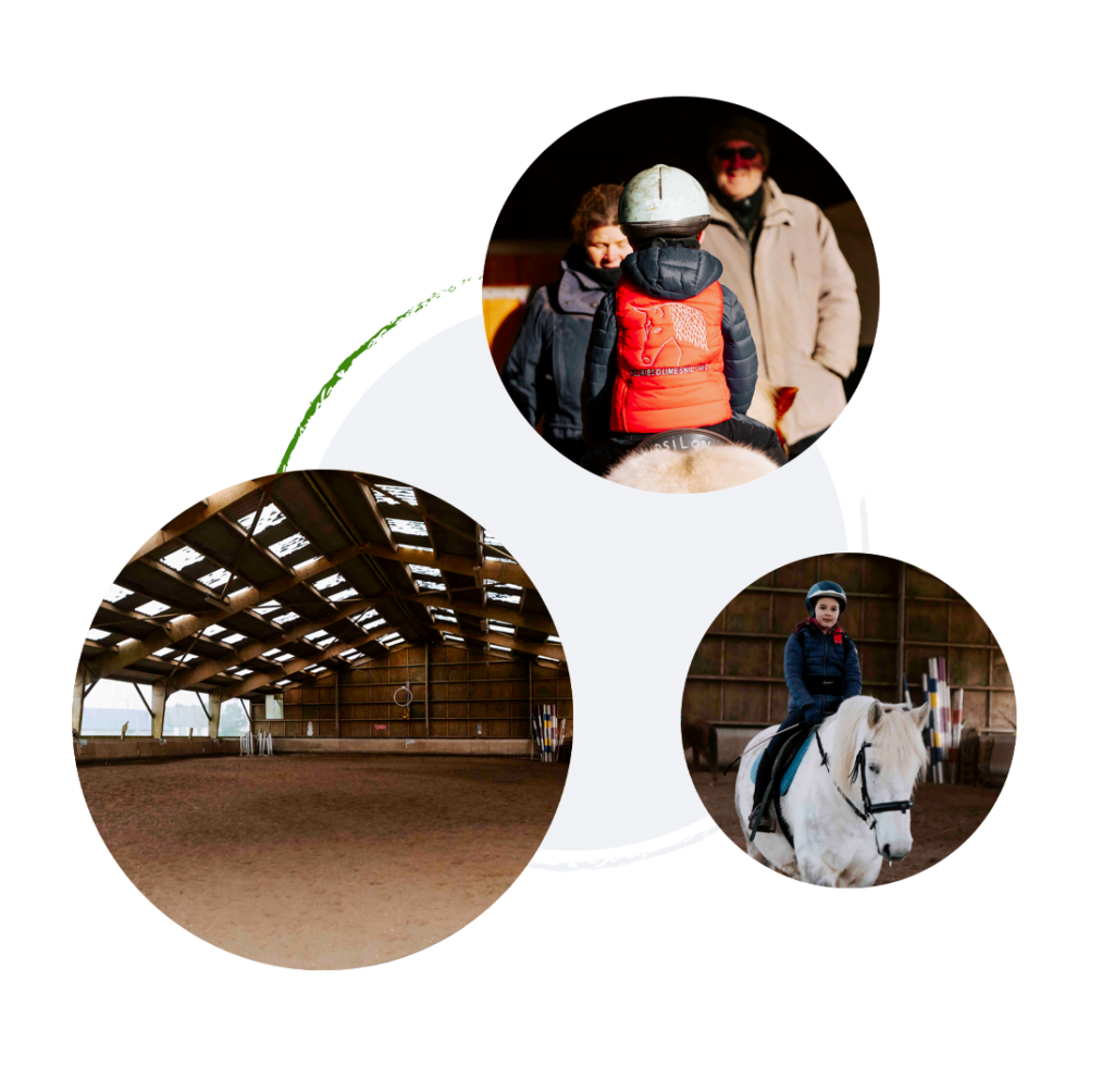 Écuries du Mesnil David - photo