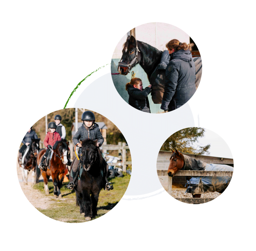 Écuries du Mesnil David - photo