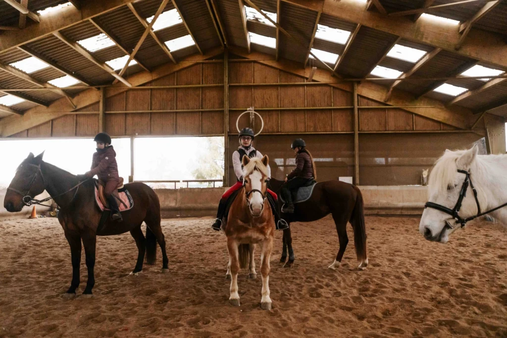 Écuries du Mesnil David - photo cours