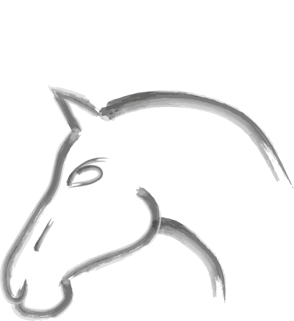 Écuries du Mesnil David - Cheval icone